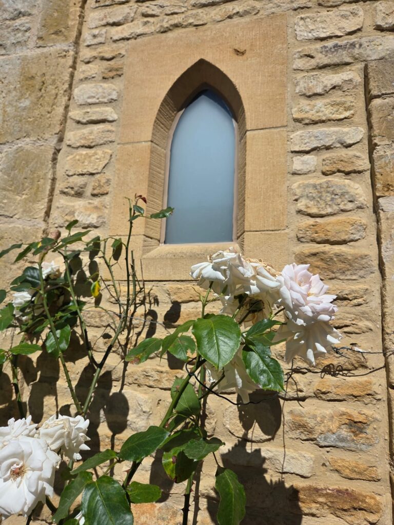 White roses against ancient stone wall with arched window.